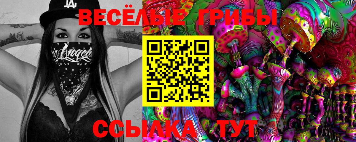 Галлюциногенные грибы Psilocybe Камышлов