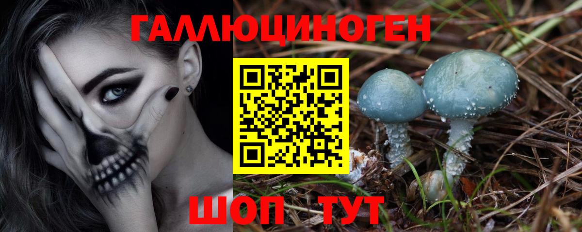 Камышлов  Псилоцибиновые грибы Psilocybine cubensis  Вход с VPN 