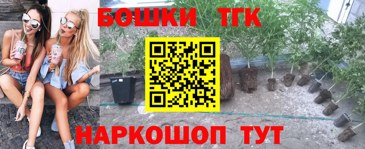Каннабис план  Вход с VPN  Марихуана конопля  Камышлов  Канабис конопля 